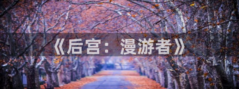 omofun动漫动画：《后宫：漫游者》
