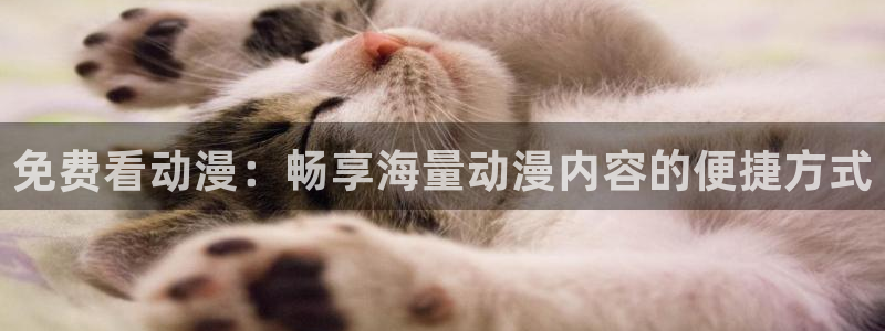 omofun动漫在线观看看