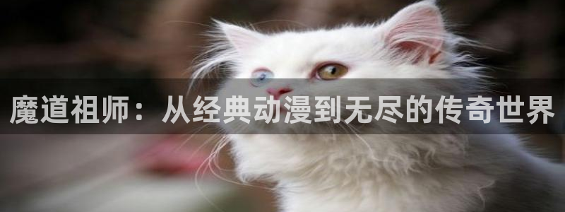 omofun动漫