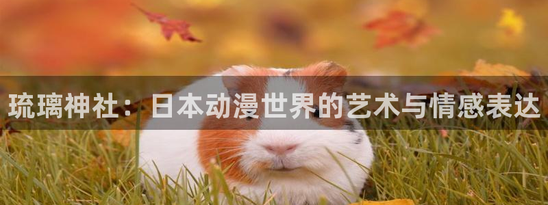 omofun网页版进入