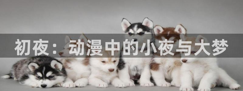 omofun官网在线
