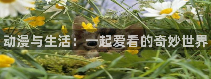omofun无广告：动漫与生活：一起爱看的奇妙世界