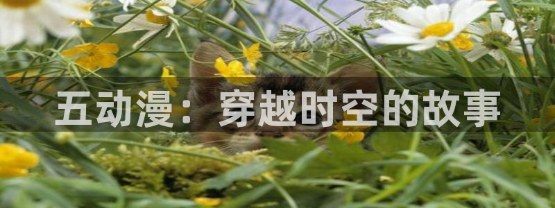 苹果omofun网页版入口