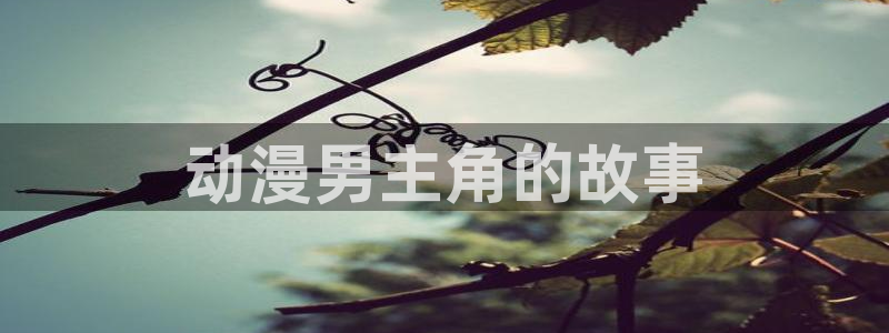 进入omofun官网